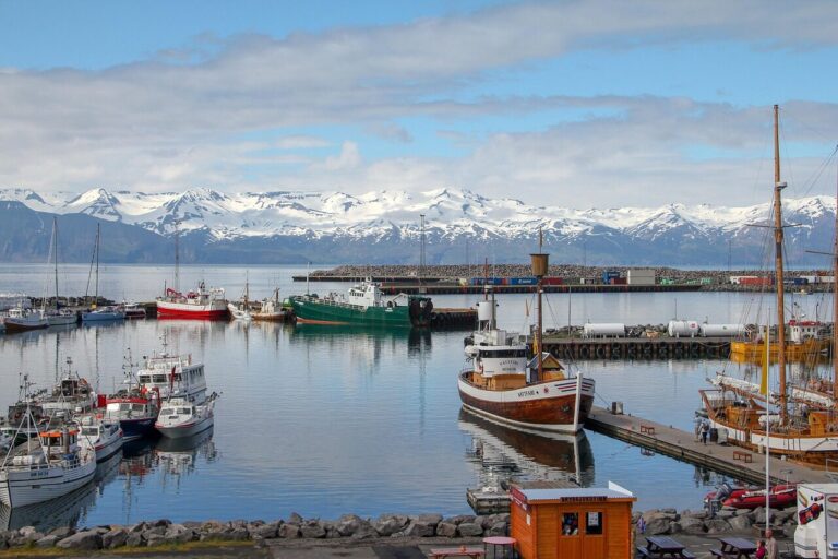 husavik, iceland, port, boats, landscape, nature, ship, sea, side, arctic, snow, travel, nordic, view
